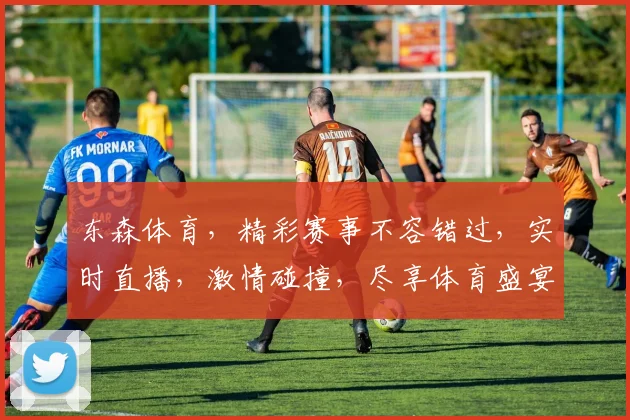 东森体育，精彩赛事不容错过，实时直播，激情碰撞，尽享体育盛宴