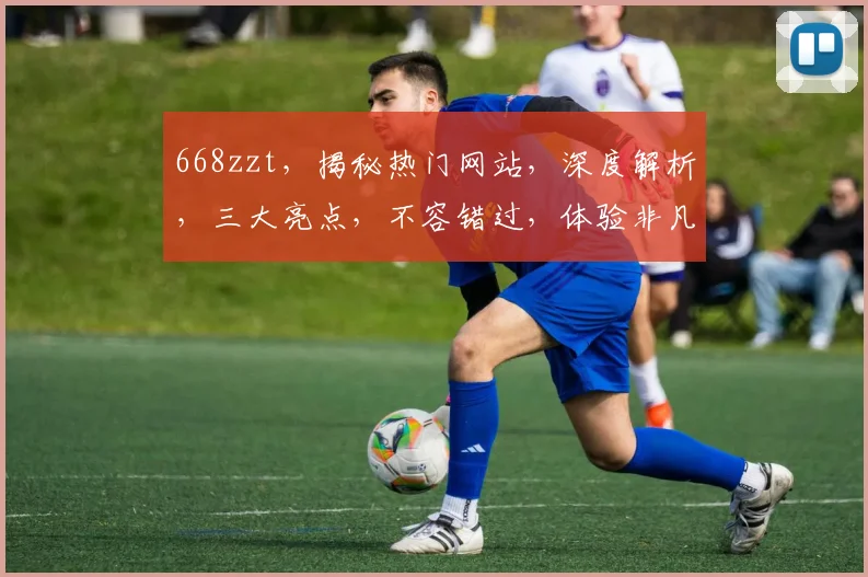 668zzt，揭秘热门网站，深度解析，三大亮点，不容错过，体验非凡