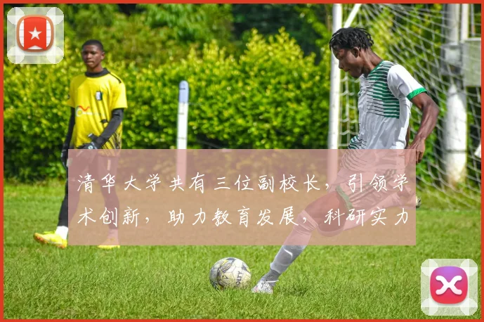 清华大学共有三位副校长，引领学术创新，助力教育发展，科研实力显著。
