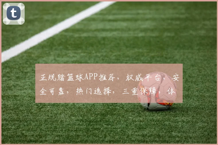 正规赌篮球APP推荐，权威平台，安全可靠，热门选择，三重保障，体验非凡