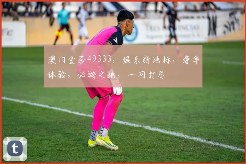 澳门金莎49333，娱乐新地标，奢华体验，必游之地，一网打尽
